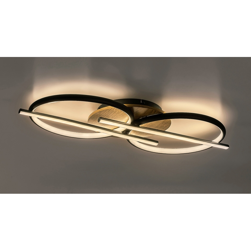 Rabalux - LED Ceiling light LED/40W/230V 3000/4000/6500K
