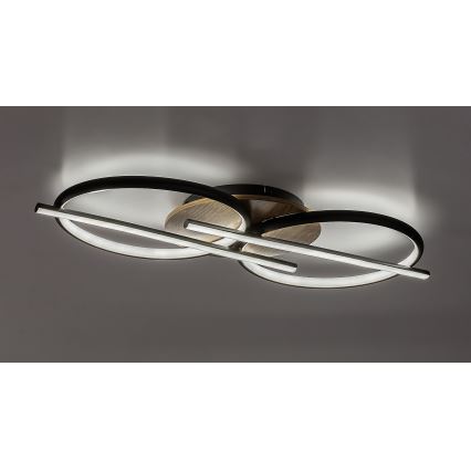 Rabalux - LED Ceiling light LED/40W/230V 3000/4000/6500K
