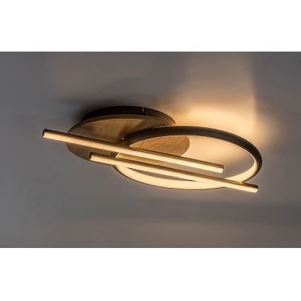 Rabalux - LED Ceiling light LED/40W/230V 3000/4000/6500K