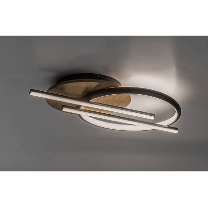 Rabalux - LED Ceiling light LED/40W/230V 3000/4000/6500K
