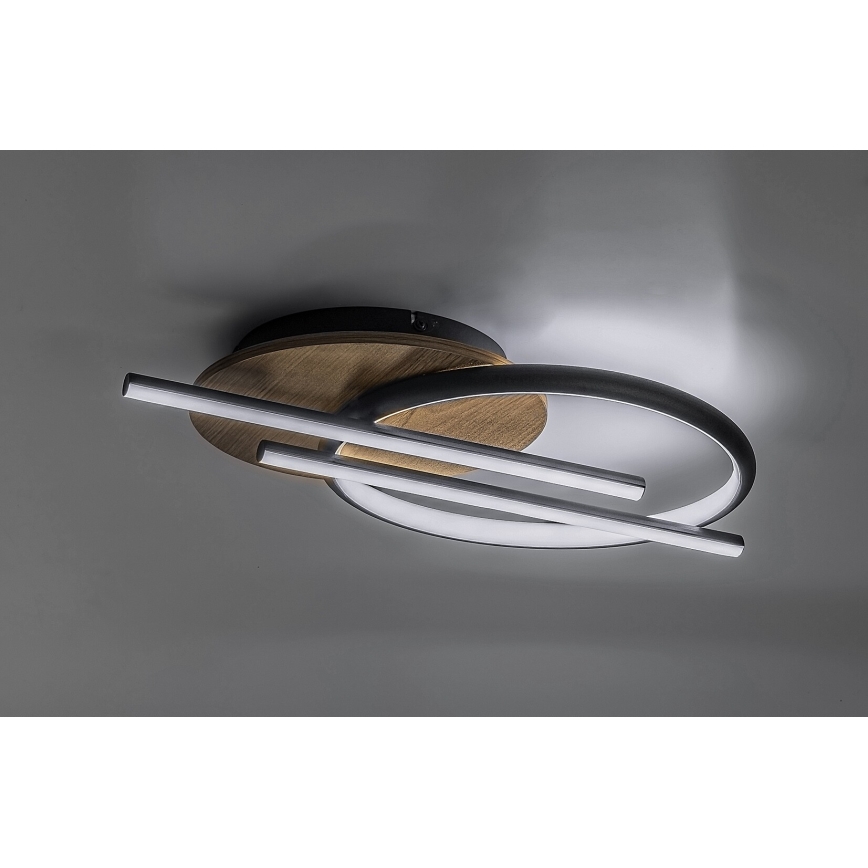 Rabalux - LED Ceiling light LED/40W/230V 3000/4000/6500K