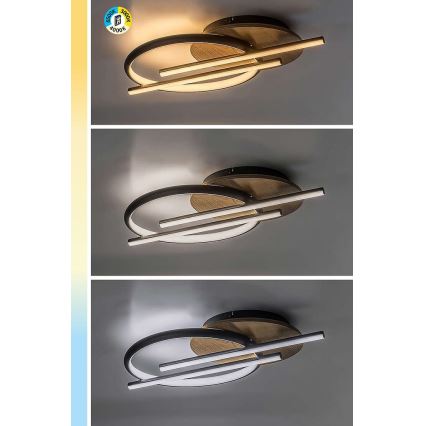 Rabalux - LED Ceiling light LED/40W/230V 3000/4000/6500K