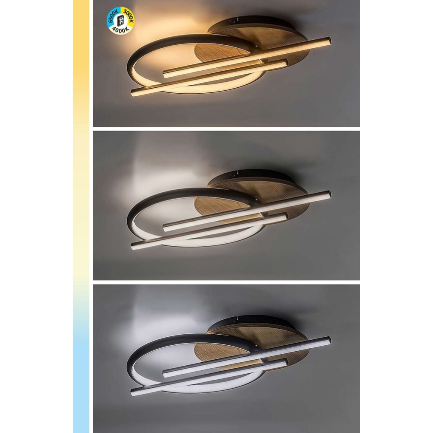 Rabalux - LED Ceiling light LED/40W/230V 3000/4000/6500K