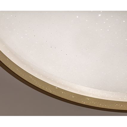 Rabalux - LED Dimmable Ceiling Light LED/34W/230V 3000-6500K Ø 38 cm + remote control