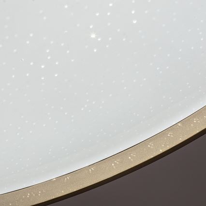 Rabalux - LED Dimmable Ceiling Light LED/34W/230V 3000-6500K Ø 38 cm + remote control