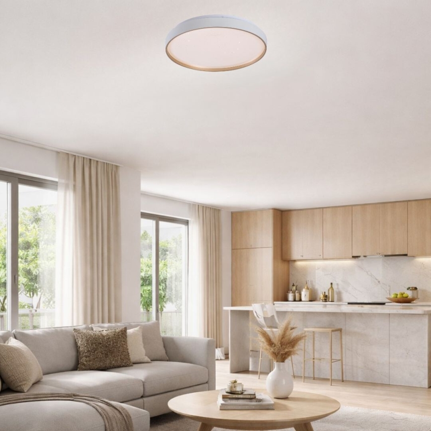 Rabalux - Dimmable LED ceiling light, 60W/230V, 3000–6500K, Ø 58 cm, with remote control
