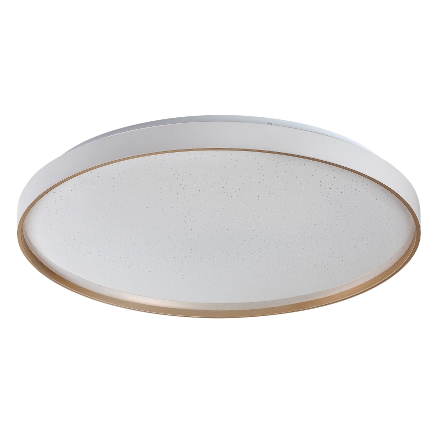 Rabalux - Dimmable LED ceiling light, 60W/230V, 3000–6500K, Ø 58 cm, with remote control