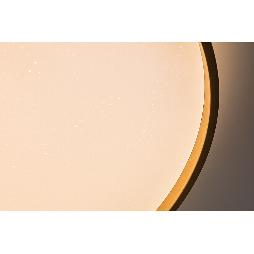 Rabalux - Dimmable LED ceiling light, 60W/230V, 3000–6500K, Ø 58 cm, with remote control