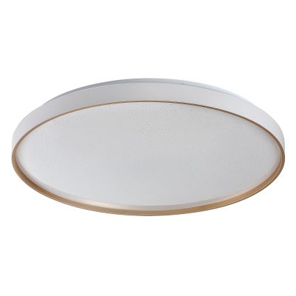 Rabalux - Dimmable LED ceiling light LED/80W/230V 3000-6500K Ø 77 cm + remote control