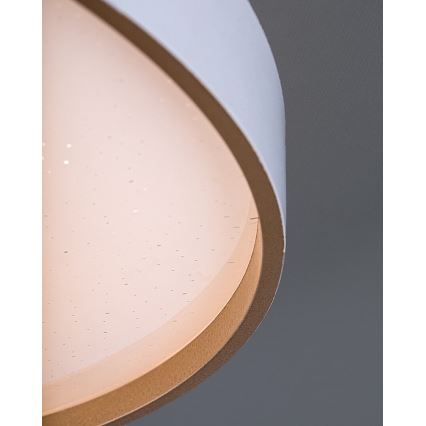 Rabalux - Dimmable LED ceiling light LED/80W/230V 3000-6500K Ø 77 cm + remote control