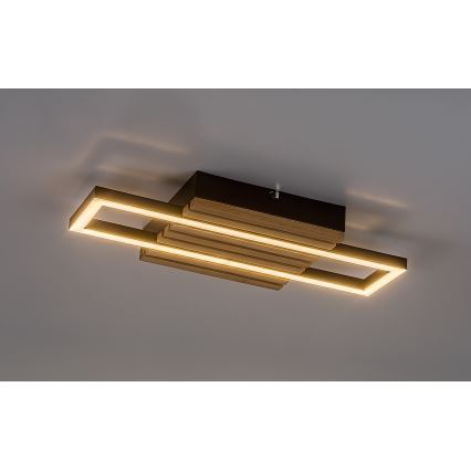 Rabalux - LED Ceiling Light LED/12W/230V 3000/4500/6000K