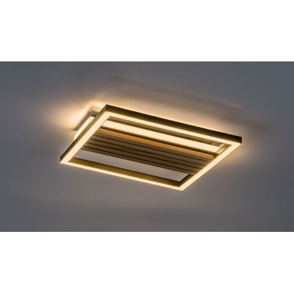 Rabalux - LED Ceiling Light LED/26W/230V 3000/4500/6000K