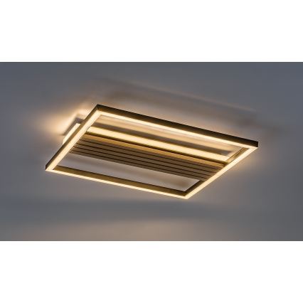 Rabalux - LED Ceiling Light LED/30W/230V 3000/4500/6000K