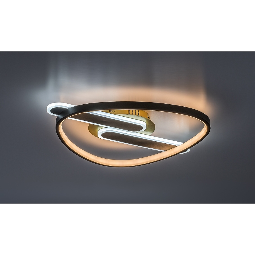 Rabalux - Dimmable LED Ceiling Light, 60W, 230V, 3000–6000 K, 53 x 45 cm, with Remote Control