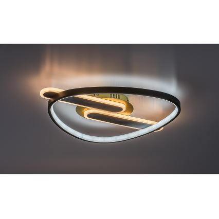 Rabalux - Dimmable LED Ceiling Light, 60W, 230V, 3000–6000 K, 53 x 45 cm, with Remote Control