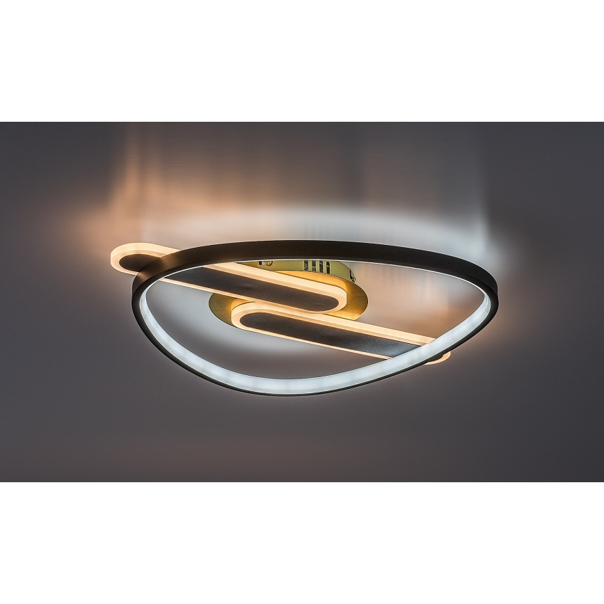 Rabalux - Dimmable LED Ceiling Light, 60W, 230V, 3000–6000 K, 53 x 45 cm, with Remote Control