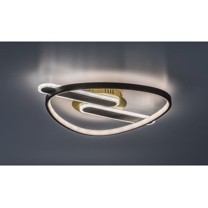 Rabalux - Dimmable LED Ceiling Light, 60W, 230V, 3000–6000 K, 53 x 45 cm, with Remote Control