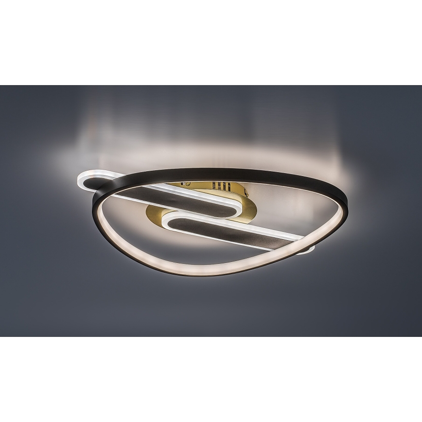 Rabalux - Dimmable LED Ceiling Light, 60W, 230V, 3000–6000 K, 53 x 45 cm, with Remote Control