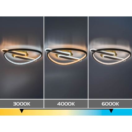 Rabalux - Dimmable LED Ceiling Light, 60W, 230V, 3000–6000 K, 53 x 45 cm, with Remote Control