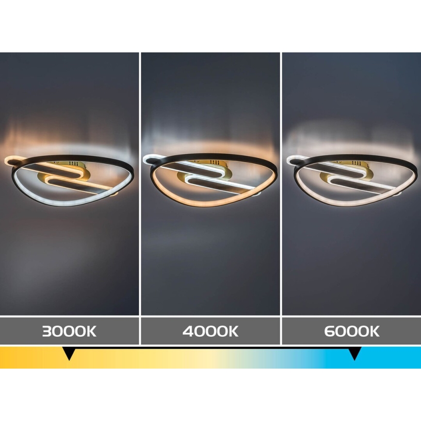 Rabalux - Dimmable LED Ceiling Light, 60W, 230V, 3000–6000 K, 53 x 45 cm, with Remote Control