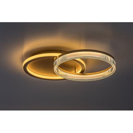 Rabalux - Dimmable LED Ceiling Light LED/22W/230V 3000-6500K 53.5 x 35 cm + remote control