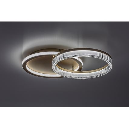 Rabalux - Dimmable LED Ceiling Light LED/22W/230V 3000-6500K 53.5 x 35 cm + remote control