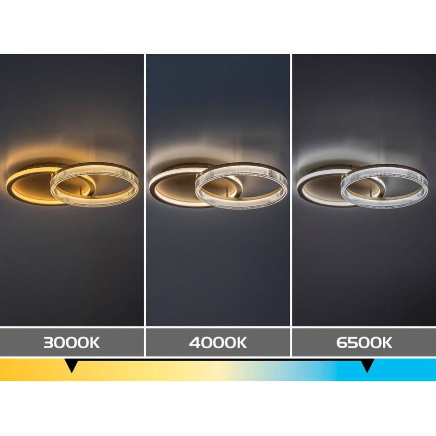 Rabalux - Dimmable LED Ceiling Light LED/22W/230V 3000-6500K 53.5 x 35 cm + remote control