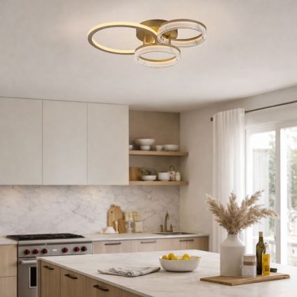 Rabalux - Dimmable LED Ceiling Light LED/38W/230V 3000-6500K 58,5x38 cm + remote control