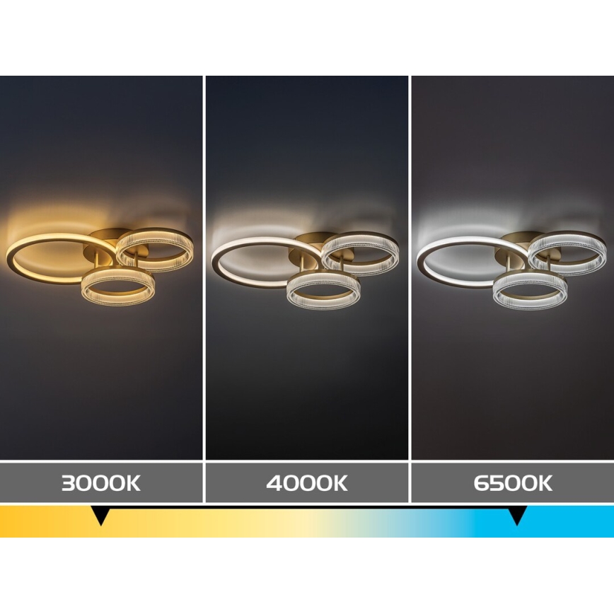 Rabalux - Dimmable LED Ceiling Light LED/38W/230V 3000-6500K 58,5x38 cm + remote control