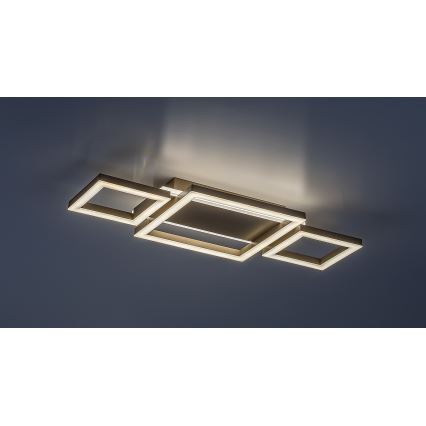 Rabalux - LED Ceiling Light LED/24W/230V 51.5 x 22 cm