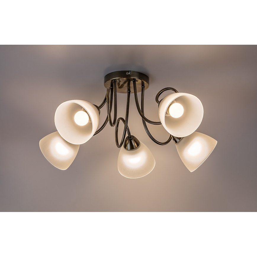 Rabalux - Surface-mounted chandelier 5xE27/60W/230V