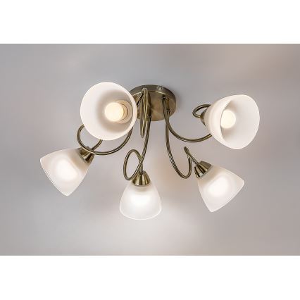 Rabalux - Surface-mounted chandelier 5xE27/60W/230V