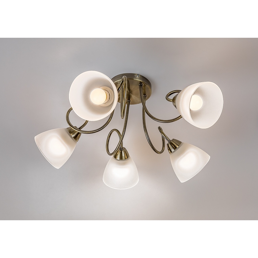 Rabalux - Surface-mounted chandelier 5xE27/60W/230V