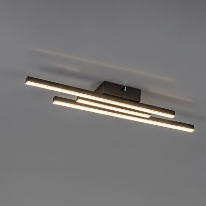 Rabalux - LED Ceiling Light LED/18W/230V 4000K Black