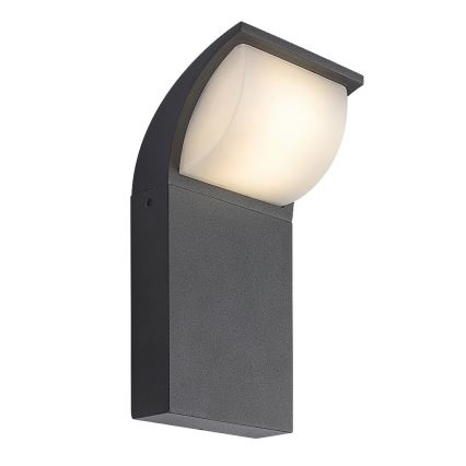 Rabalux - LED Outdoor wall light LED/9W/230V IP65