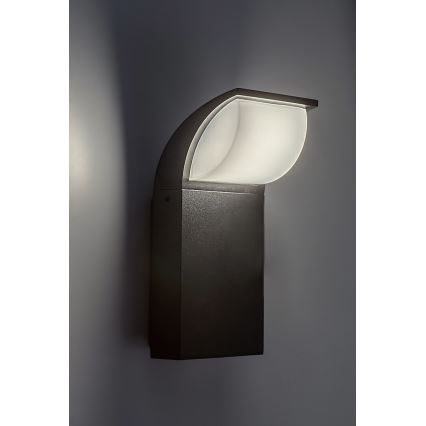 Rabalux - LED Outdoor wall light LED/9W/230V IP65