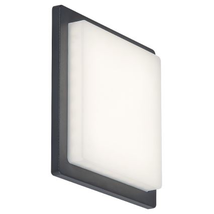 Rabalux - LED Outdoor wall light LED/8W/230V IP65