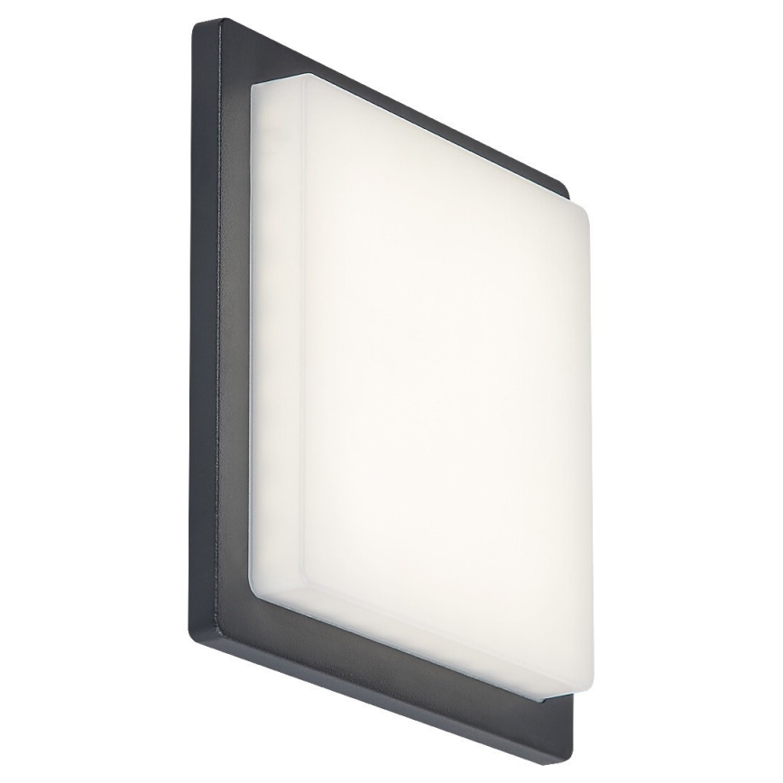 Rabalux - LED Outdoor wall light LED/8W/230V IP65
