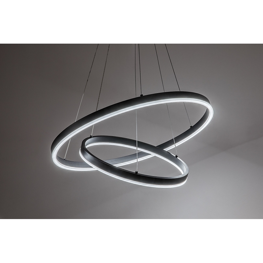 Rabalux - LED Dimmable Pendant Light on Cable LED/80W/230V 3000-6500K + remote control