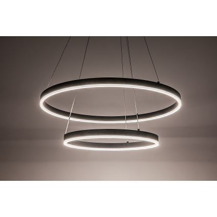 Rabalux - LED Dimmable Pendant Light on Cable LED/80W/230V 3000-6500K + remote control