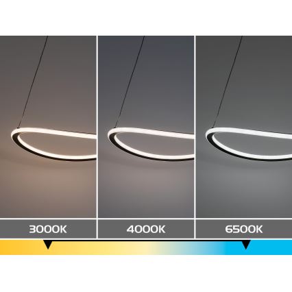 Rabalux - LED dimmable pendant light on cable LED/45W/230V 3000-6500K + remote control