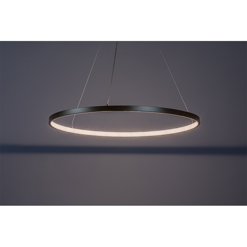 Rabalux - LED Cable-Suspended Pendant Light, 55W, 230V, 3000K