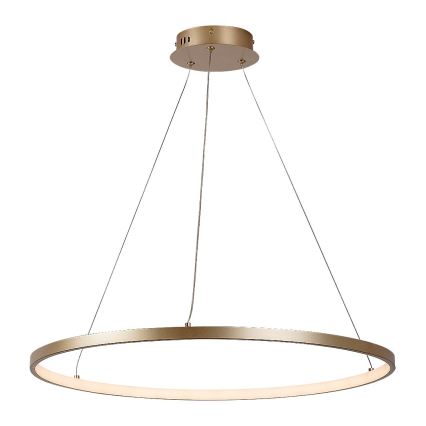 Rabalux - LED Cable-Suspended Pendant Light, 55W, 230V, 3000K