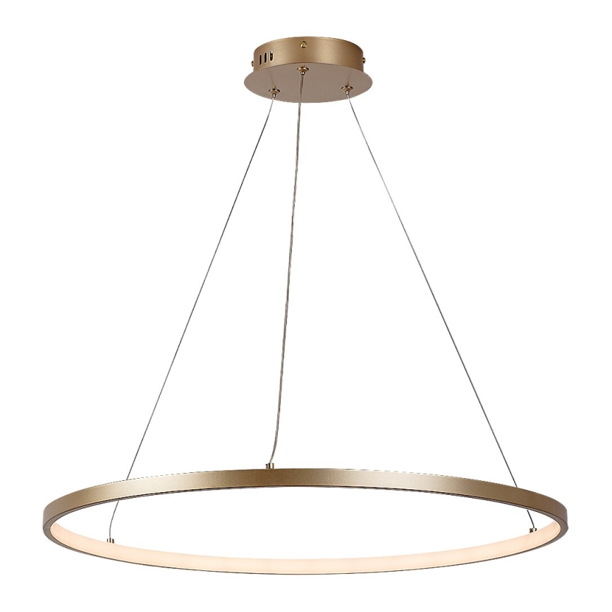 Rabalux - LED Cable-Suspended Pendant Light, 55W, 230V, 3000K