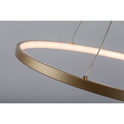 Rabalux - LED Cable-Suspended Pendant Light, 55W, 230V, 3000K