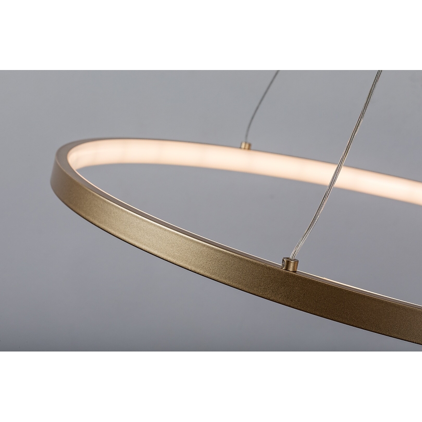 Rabalux - LED Cable-Suspended Pendant Light, 55W, 230V, 3000K