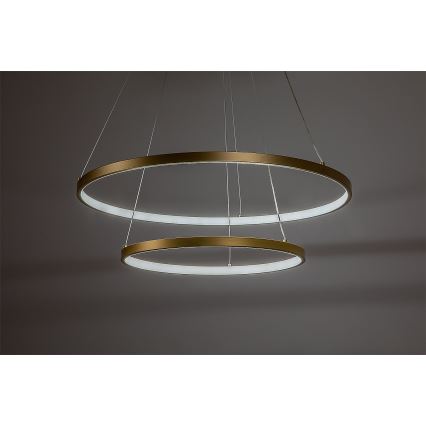 Rabalux - LED Dimmable Cable Pendant Light LED/75W/230V 3000-6500K + Remote Control