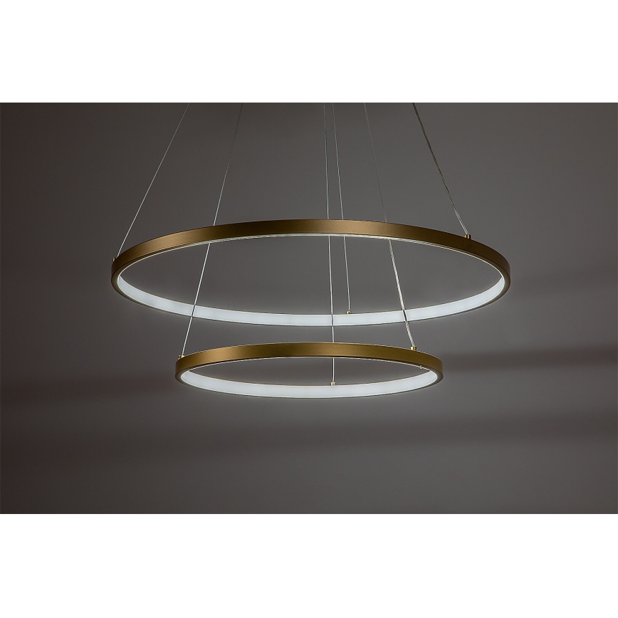 Rabalux - LED Dimmable Cable Pendant Light LED/75W/230V 3000-6500K + Remote Control