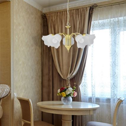 Rabalux - Chandelier on a chain 5xE14/40W/230V