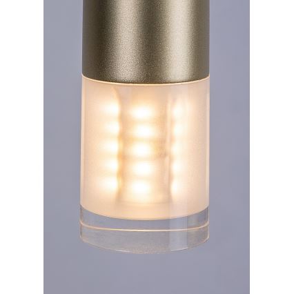 Rabalux - Chandelier on a string 1xG9/5W/230V gold